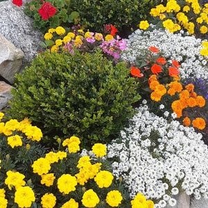 Meet your Posher, Ana